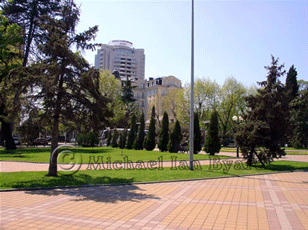 Art Museum Square